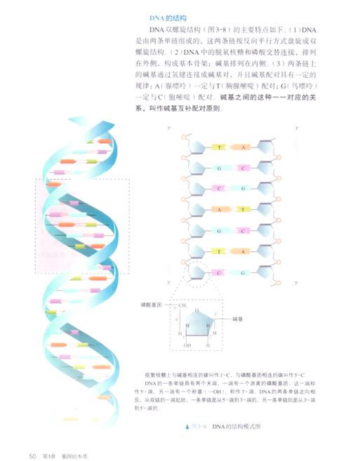 DNA芯片技术如何通过探针检测目标分子？-图2