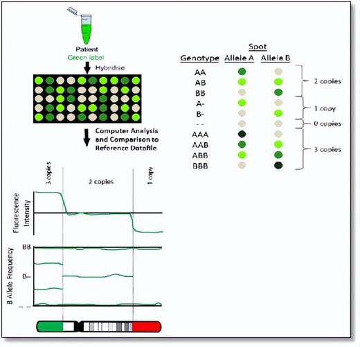 DNA芯片技术如何通过探针检测目标分子？-图1