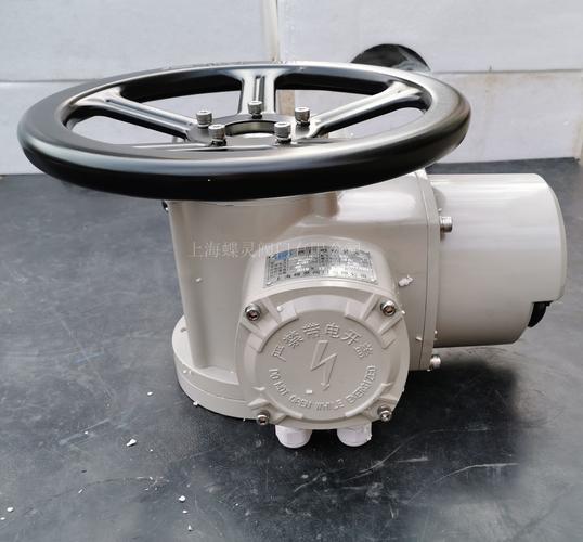 小型阀门电动执行器品牌选哪家？-图3