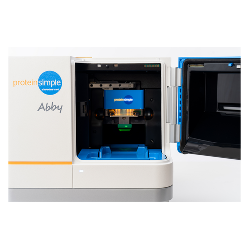 免疫印迹仪器有哪些主流品牌？-图1