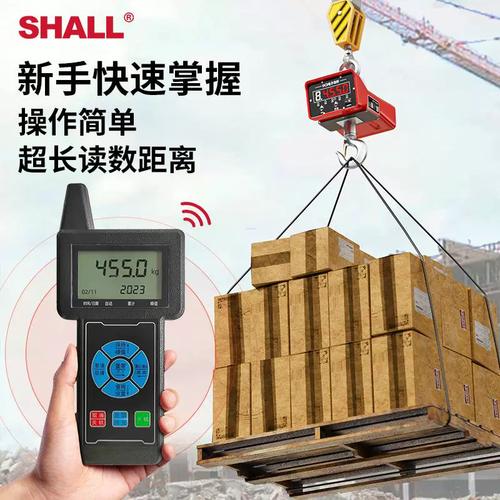 出口10吨电子吊秤品牌哪家强？-图3