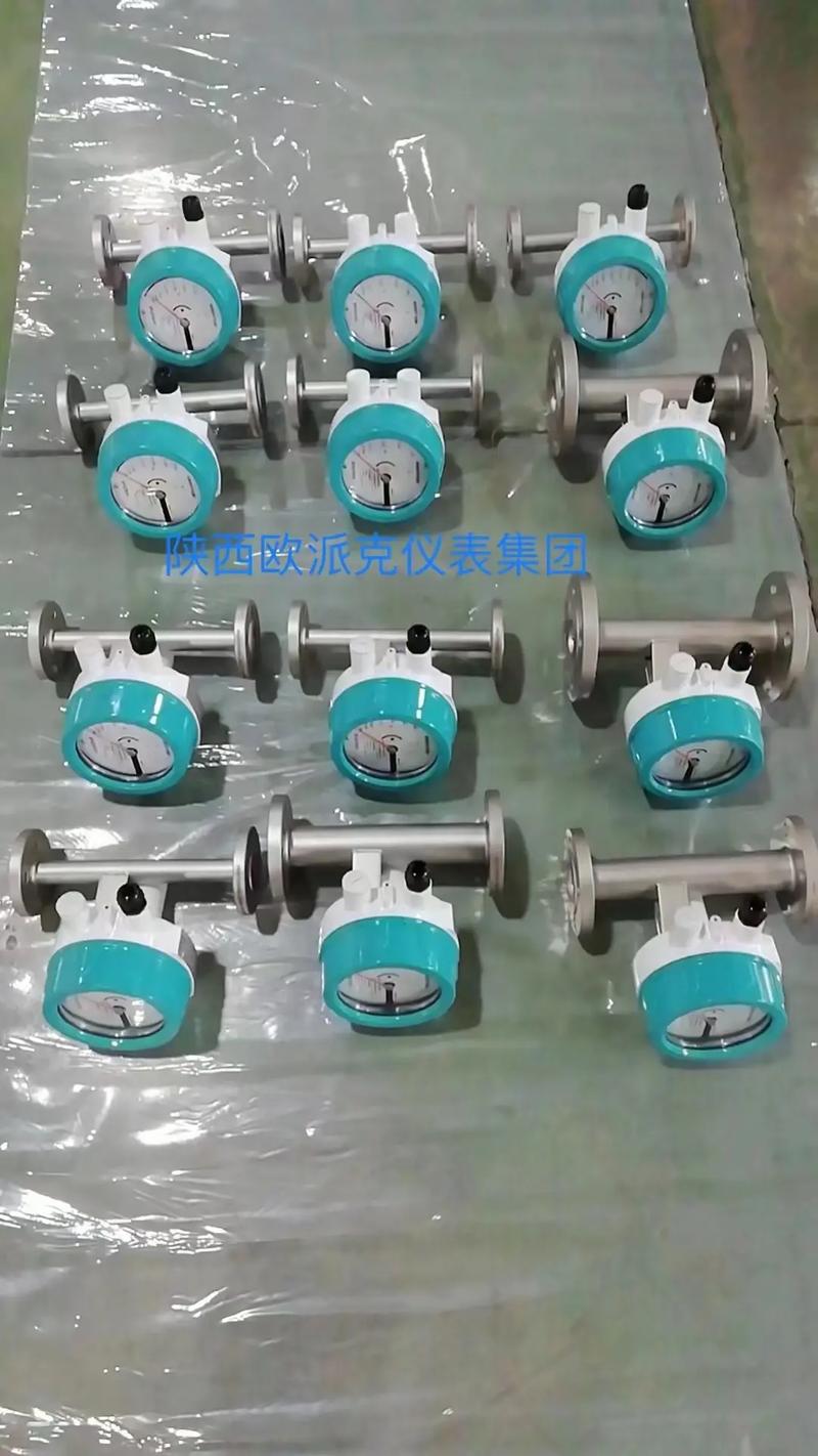 进口金属转子流量计品牌怎么选？-图3