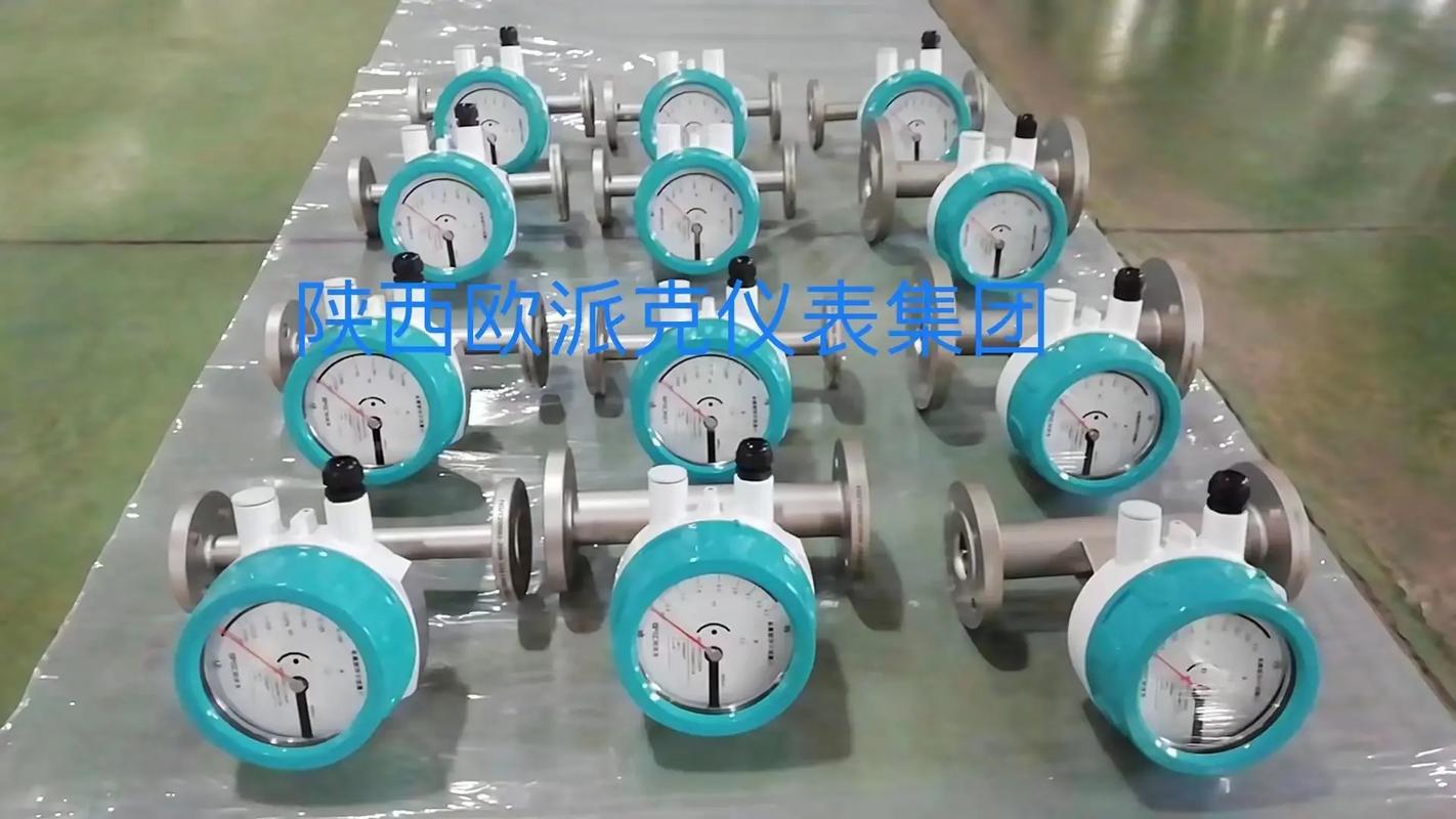进口金属转子流量计品牌怎么选？-图2