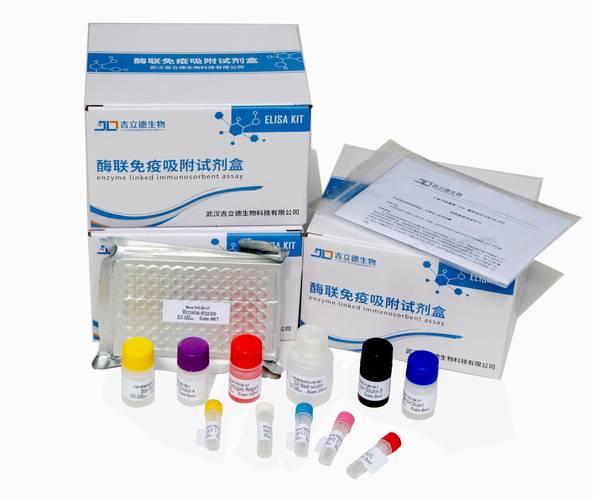 人ELISA试剂盒品牌-图1