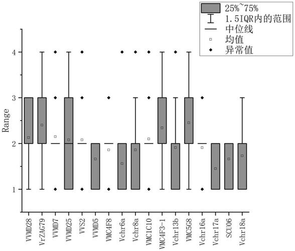SSR技术主要应用在哪些场景？-图3