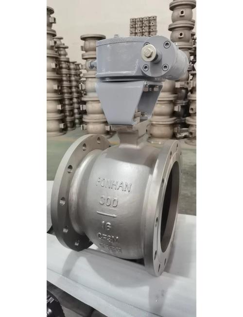 进口阀门CV是哪个品牌？-图1