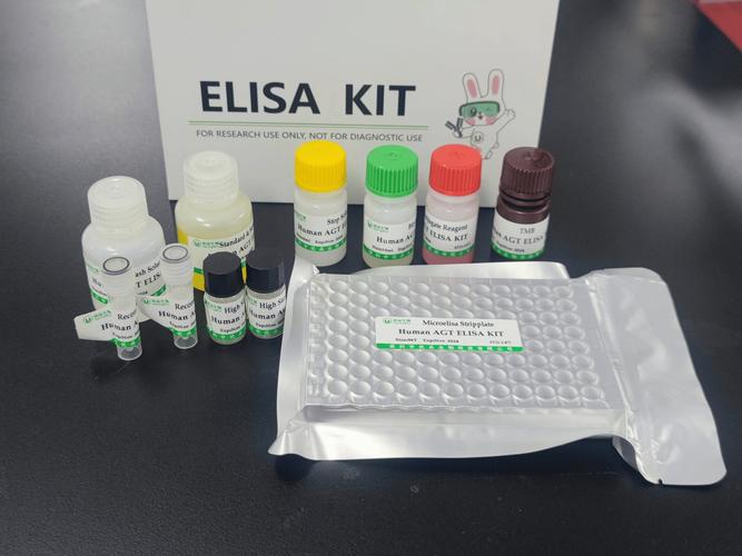 猴elisa试剂盒品牌哪家好?-图3 猴elisa试剂盒品牌哪家好?-图3
