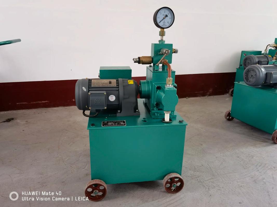 4dsy电动试压泵品牌怎么样?-图2 4dsy电动试压泵品牌怎么样?-图2