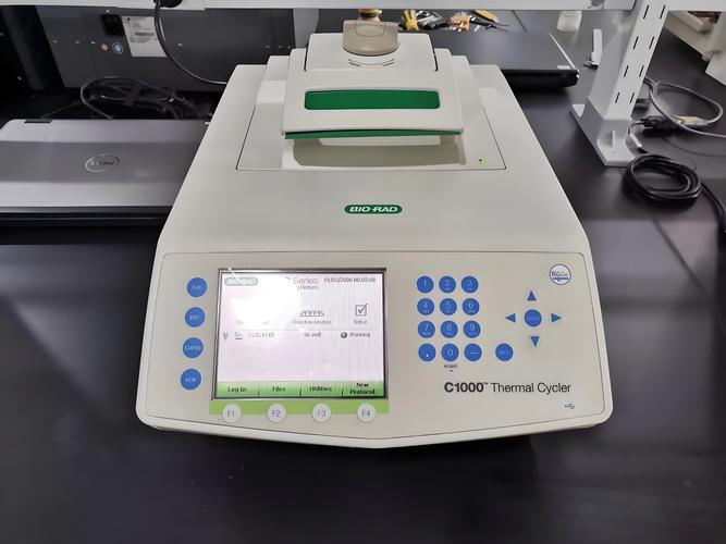 国产PCR仪什么品牌好-图1