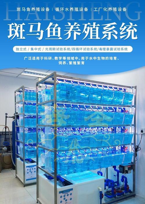 斑马鱼养殖系统进口品牌-图1