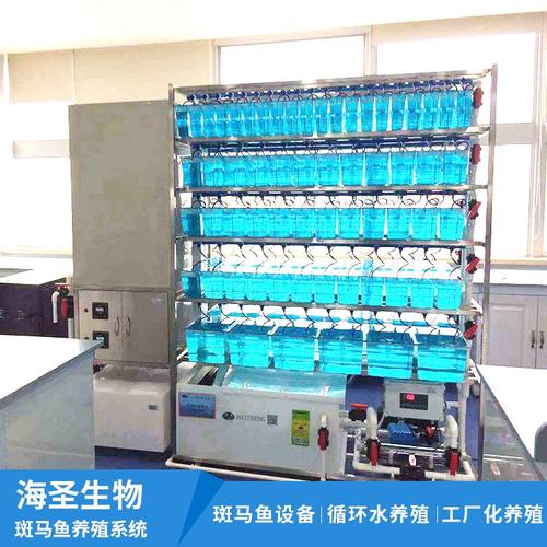 斑马鱼养殖系统进口品牌-图3