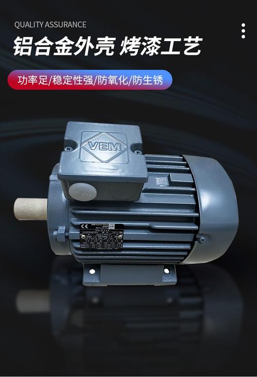 VEM是什么品牌的电机？-图3