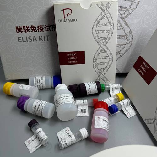 PCR仪试剂品牌有哪些？-图1