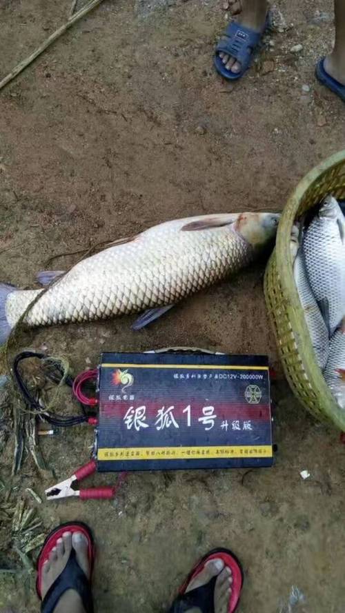 12V捕鱼器故障多？维修难点在哪？-图2
