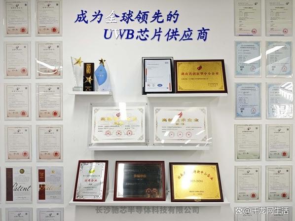 全球芯片技术授权如何影响行业格局？-图1