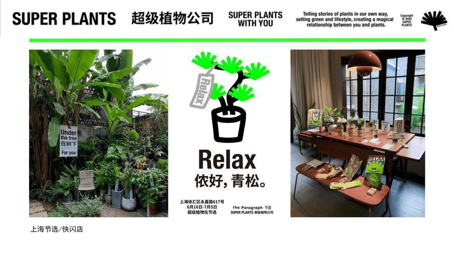 植物表型平台品牌有哪些？-图1