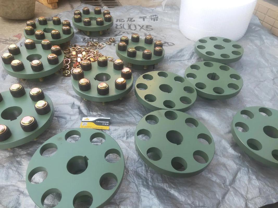 低噪声联轴器国际品牌选哪家？-图1