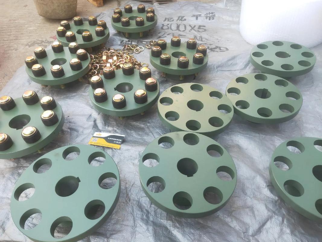 低噪声联轴器国际品牌选哪家？-图2