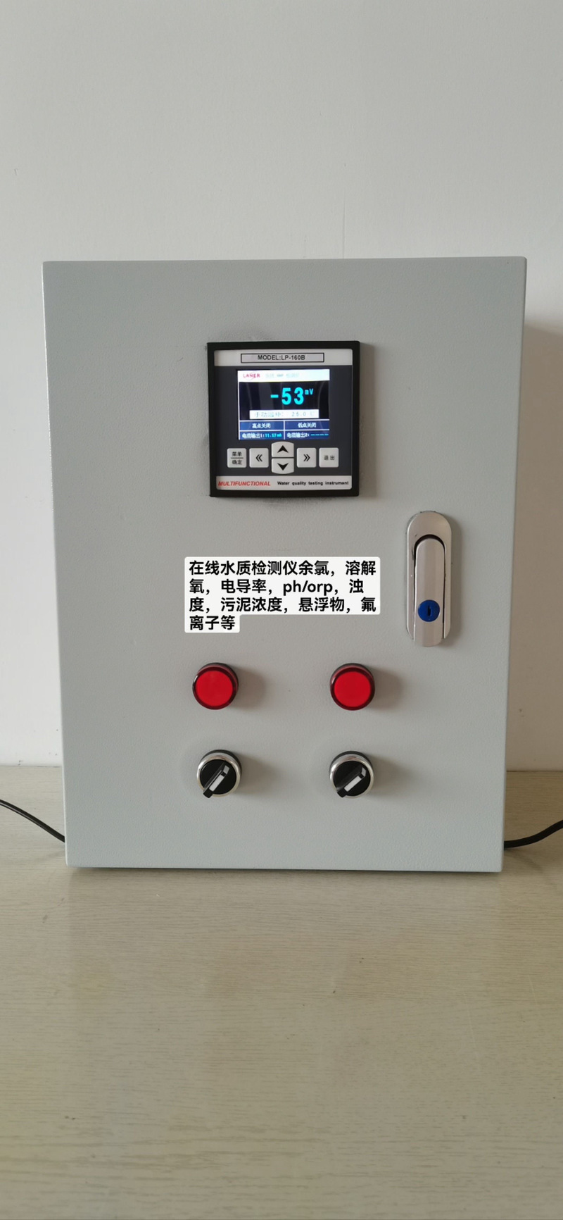 水质在线仪表品牌选哪家？-图1