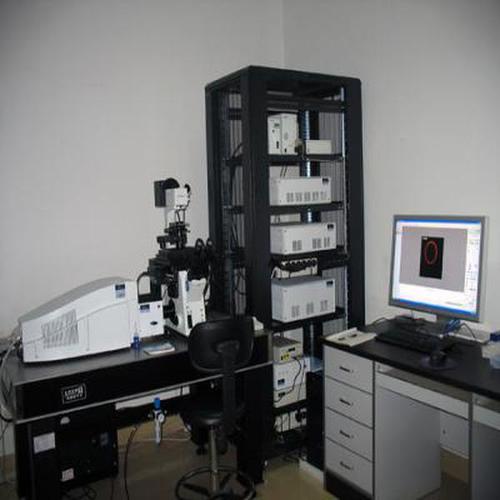 活细胞成像分析系统品牌哪个好？-图2