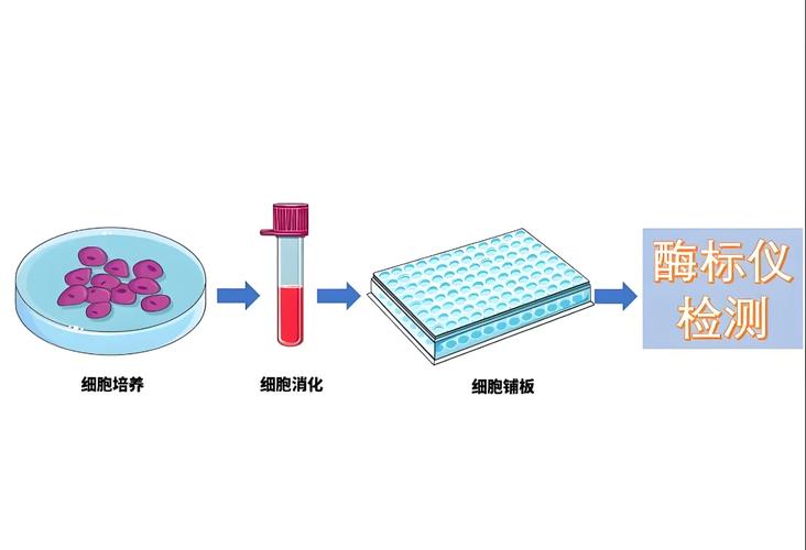CCK调制技术到底是什么？-图3