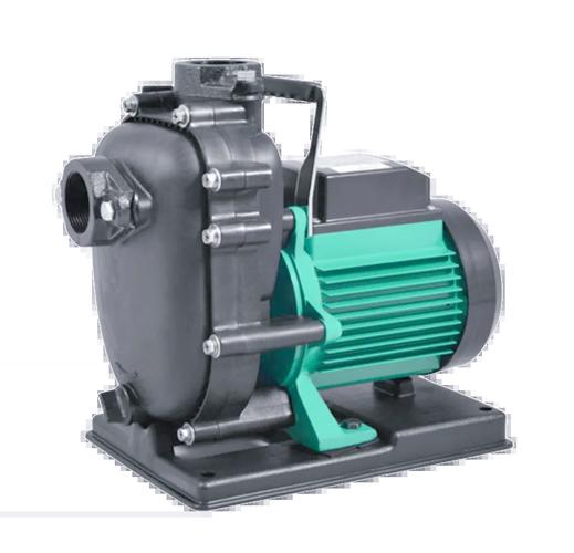 Paco是什么品牌的水泵？-图2