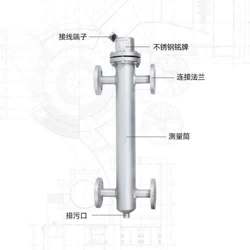 电极式液位计品牌有哪些？-图1