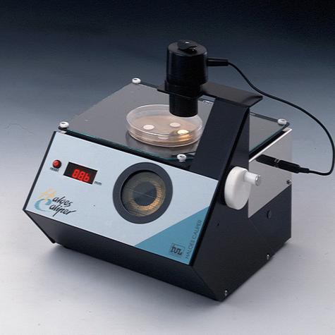 西班牙iul品牌是什么？-图1