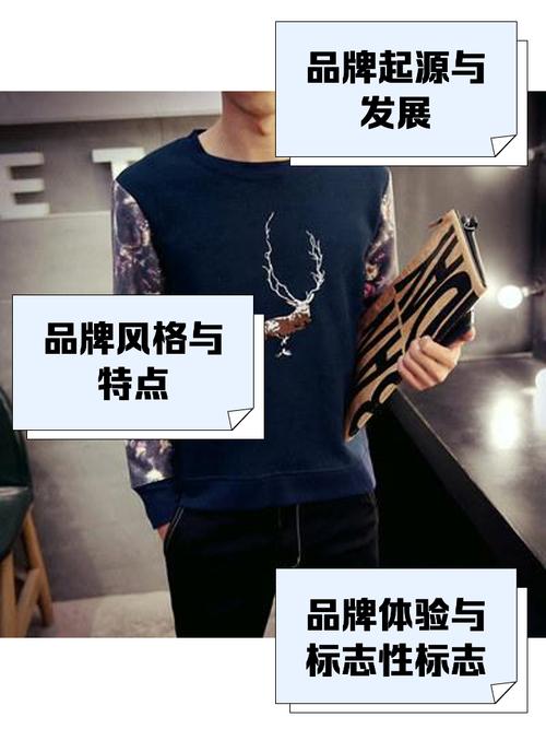 tlnslno是什么品牌？-图2