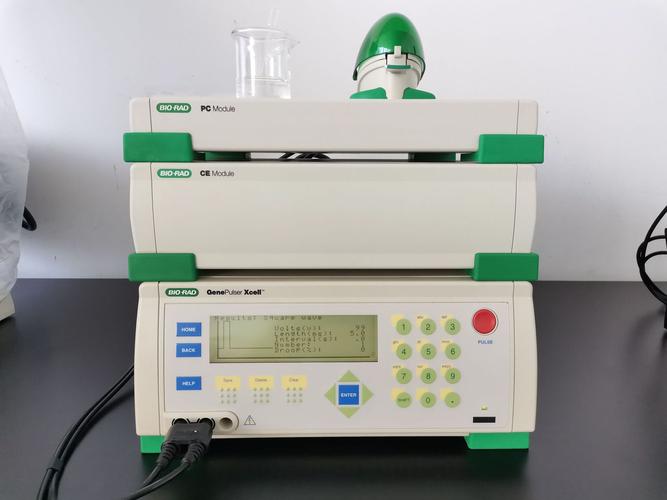 BioRad是什么品牌？-图3