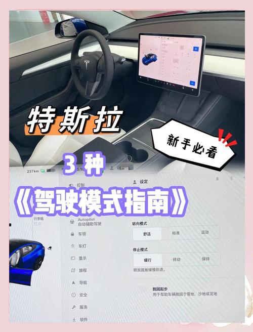 特斯拉驾驶技术怎么学？-图1