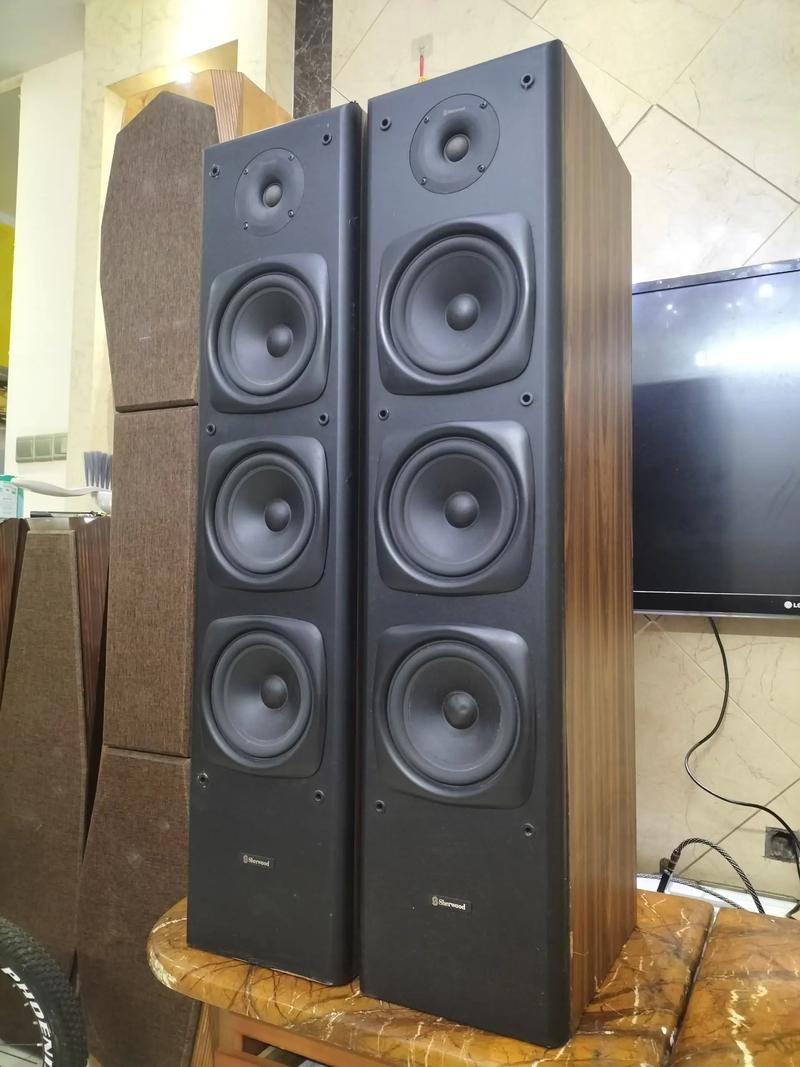 贵阳美国狮龙音响维修点-图3