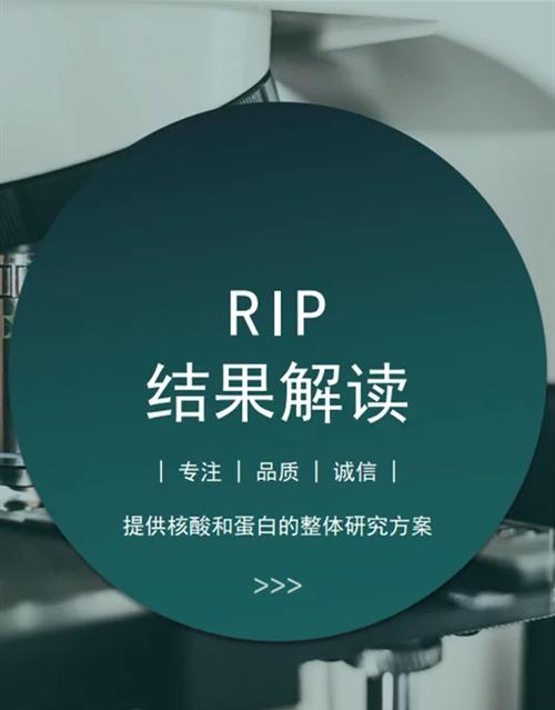 RIP协议有哪些致命技术缺陷?-图2 RIP协议有哪些致命技术缺陷?-图2