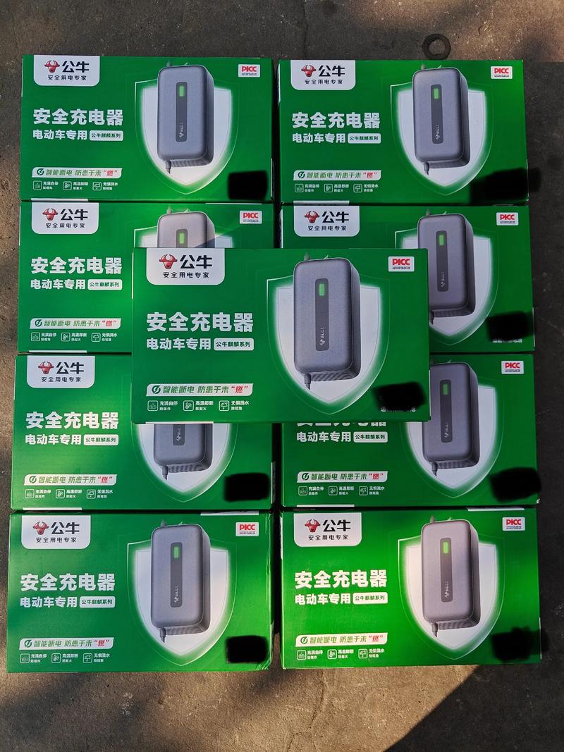 电动车充电器品牌排行榜-图1