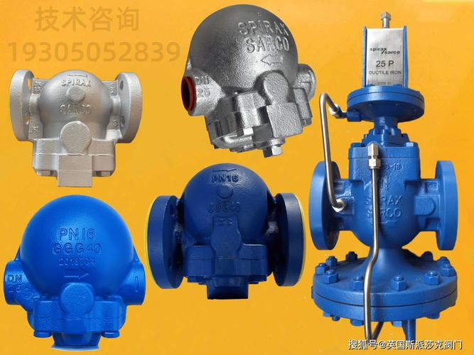 中压疏水阀国外品牌如何选？-图1