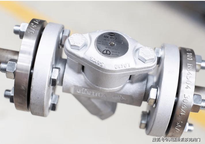 中压疏水阀国外品牌如何选？-图2