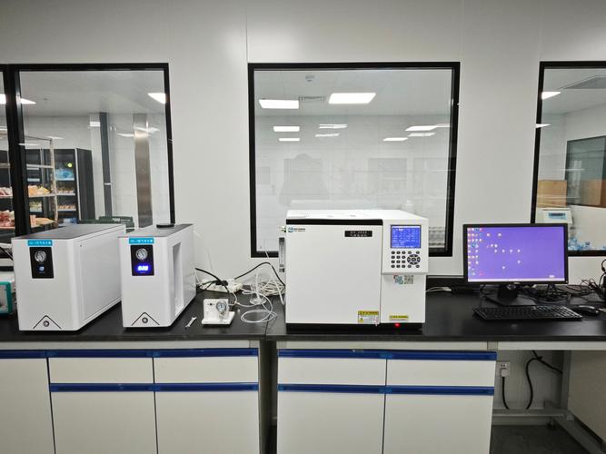 国产气相色谱仪品牌有哪些？-图3