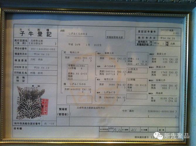 终级内存技术究竟有多强？-图3