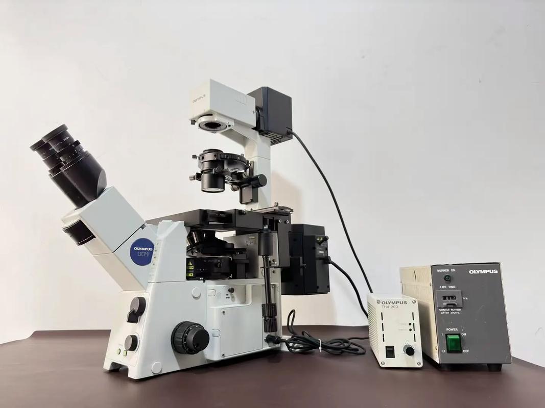 国外荧光显微镜品牌有哪些推荐？-图1