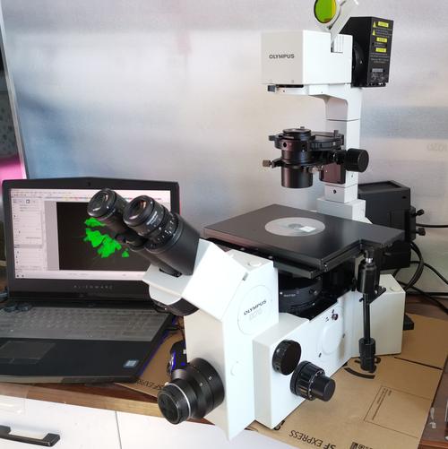 国外荧光显微镜品牌有哪些推荐？-图3