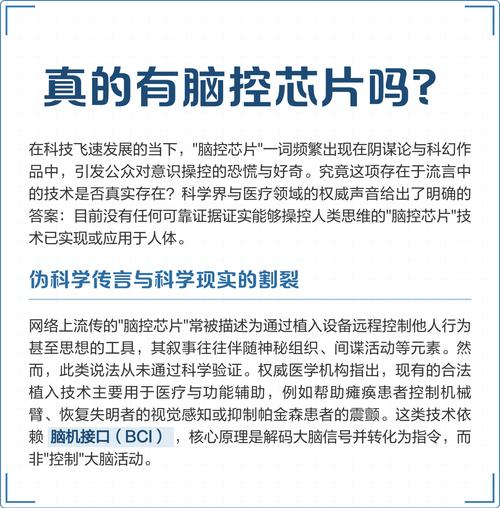 大脑植入芯片如何实现信号交互？-图1