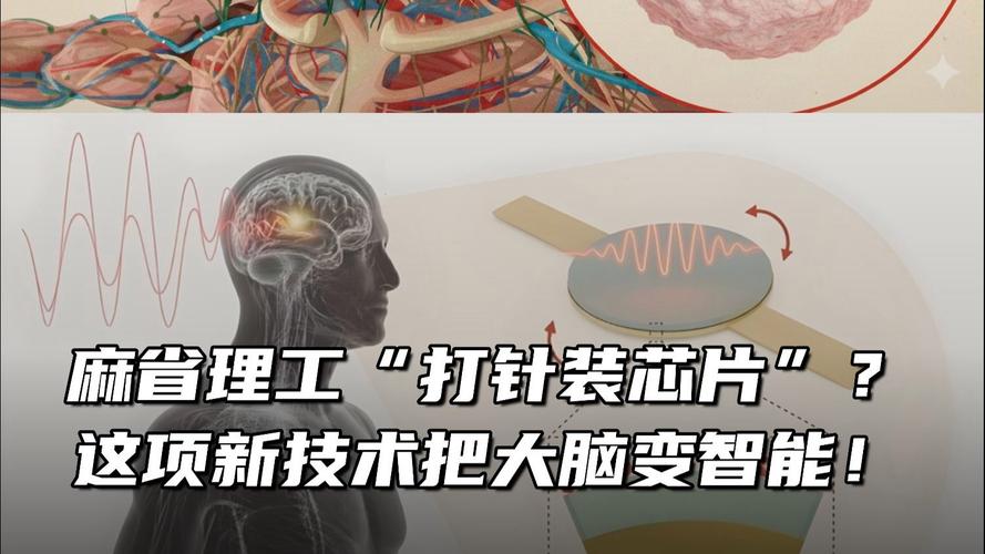 大脑植入芯片如何实现信号交互？-图2