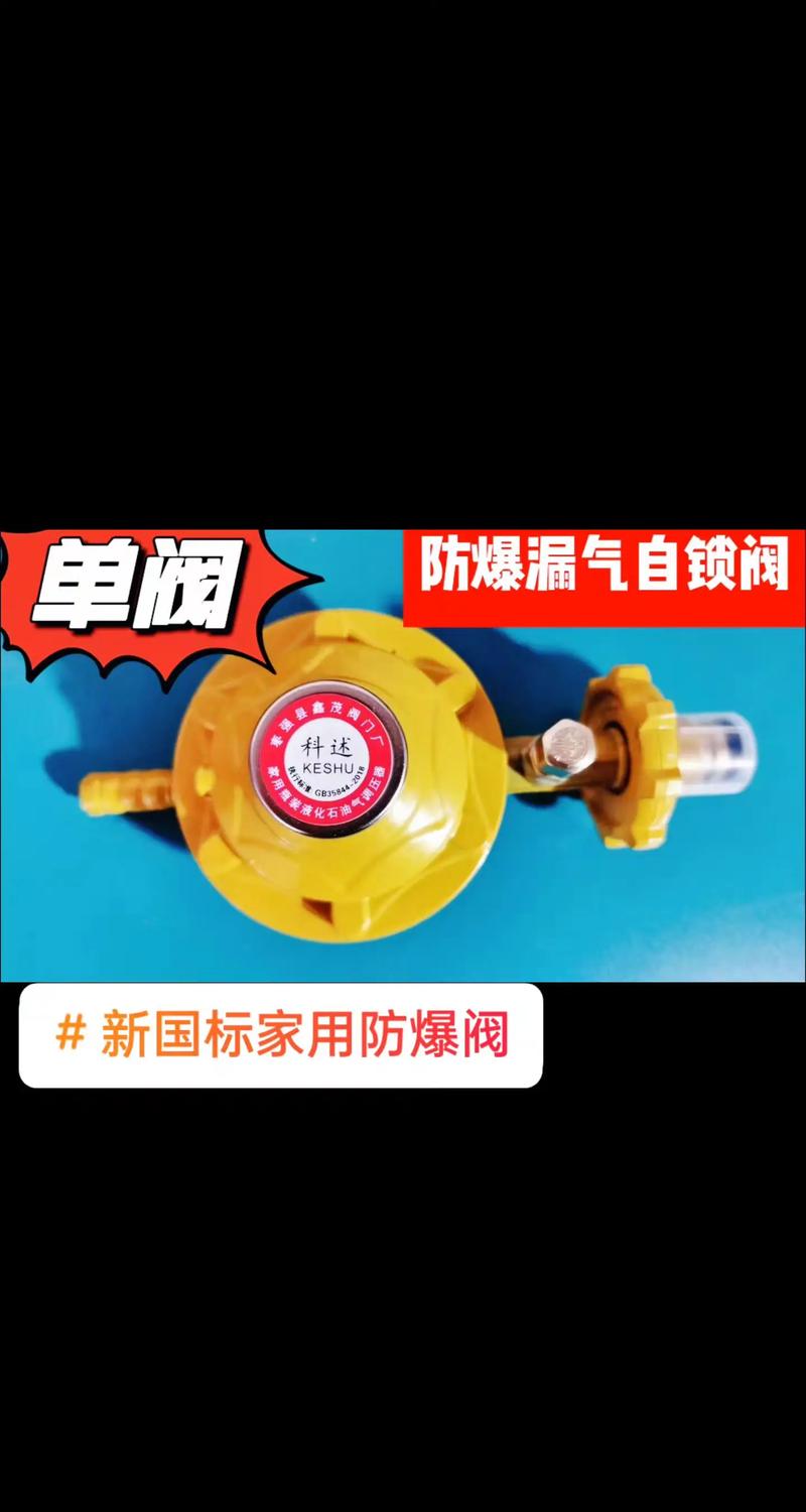 天然气减压阀进口品牌怎么选？-图3