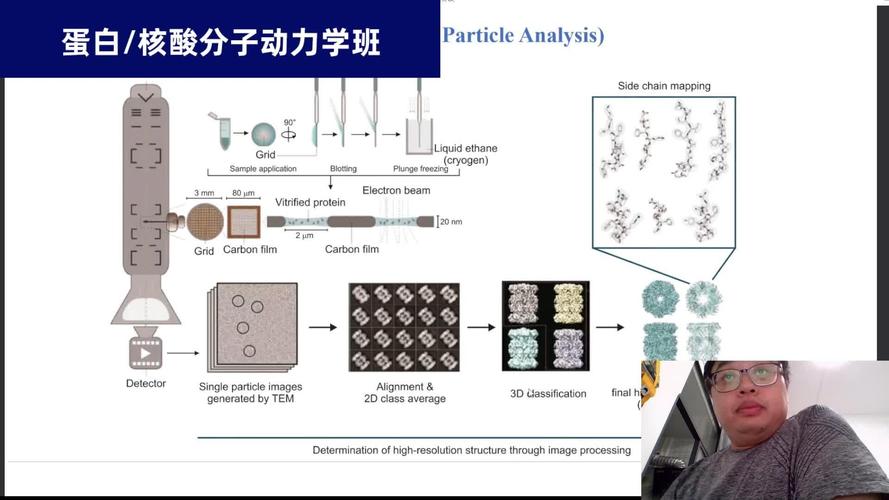冷冻电镜主流品牌有哪些？-图3