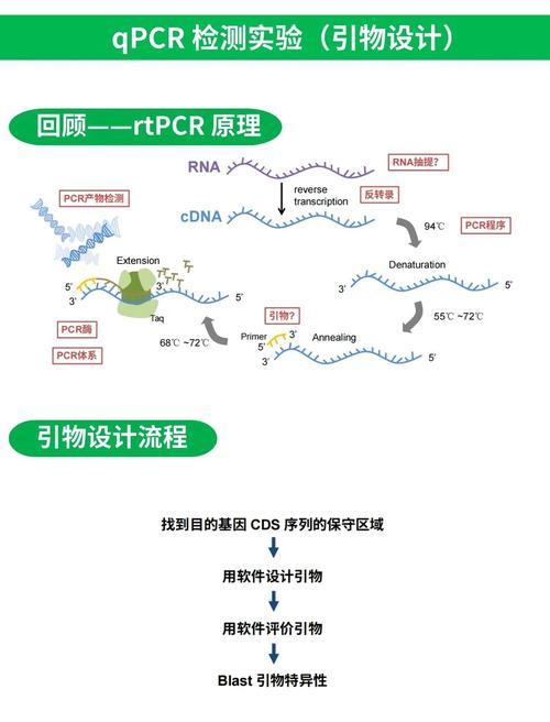直扩技术如何高效达成目的？-图1