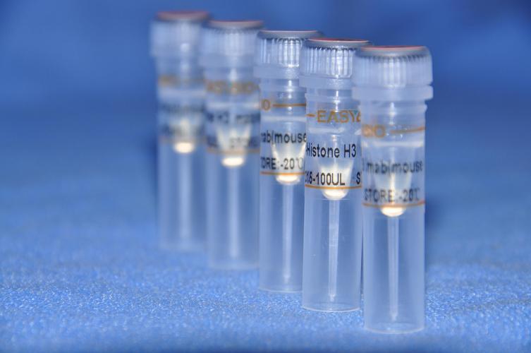 抗体品牌怎么选？-图2