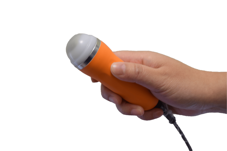 猪用B超机品牌有哪些？-图1