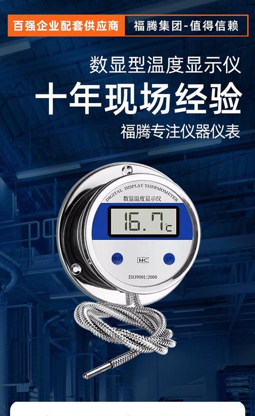 数显温度计哪个品牌好-图1
