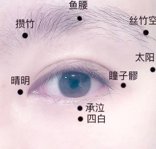 电动眼睛按摩器维修原理-图1