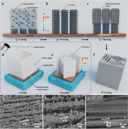 PBB技术如何优化流量工程？-图2